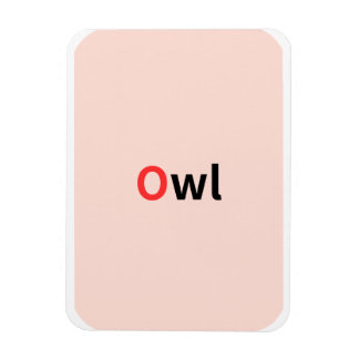 These are coloured alphabet flashcards. magnet