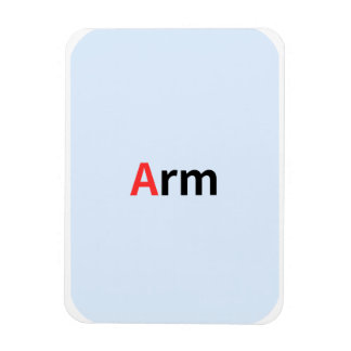 These are coloured alphabet flashcards. magnet