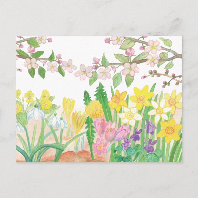 These Are the Spring Flowers that Radiate Joy  Holiday Postcard (Front)