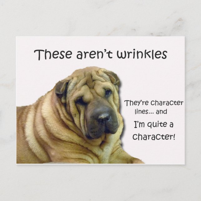 These Aren't Wrinkles... They're Character Lines Postcard (Front)