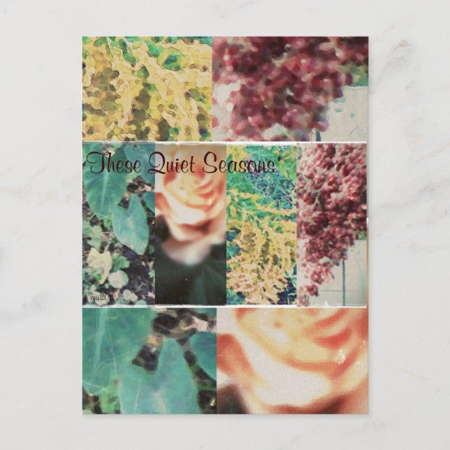 These Quiet Seasons Four Seasons Postcard (Front)