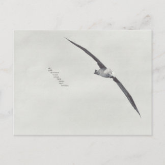 "these wings" postcard