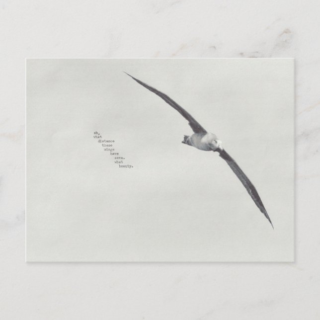 "these wings" postcard (Front)