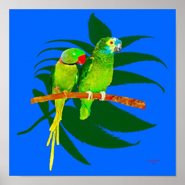TheTwo Parrots Poster (Front)