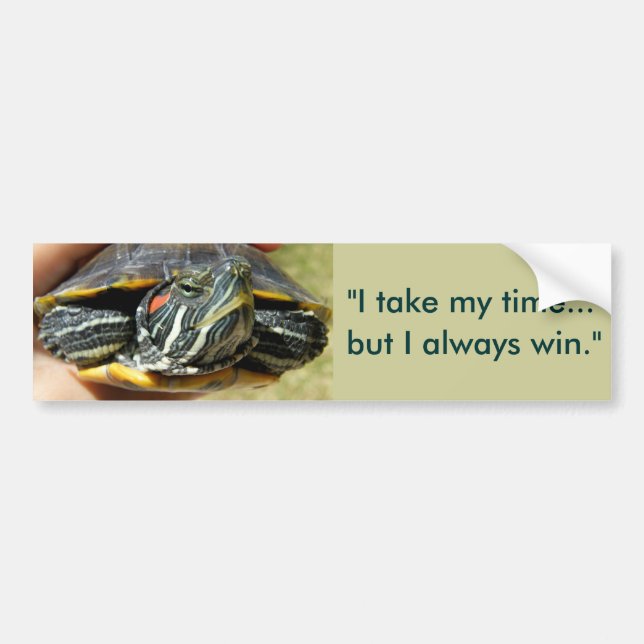 They call me turtle... bumper sticker (Front)