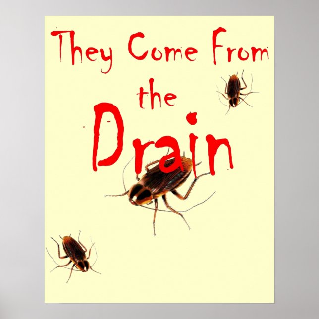 THEY COME FROM THE DRAIN - Scary Cockroach Poster (Front)