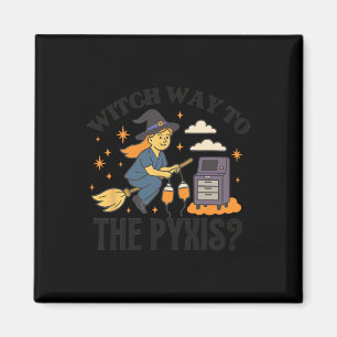 They Didn't Burn Witches They Burned Women Witchy Magnet