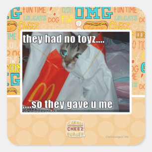 they had no toyz square sticker