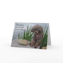 They Leave Pawprints On Our Hearts Pet Sympathy