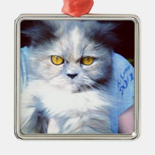 they persian cat 5 metal ornament