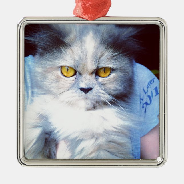 they persian cat 5 metal ornament (Front)