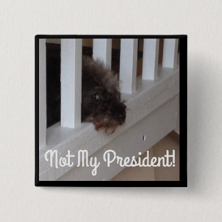 They say dogs can tell the good guys from the bad 2 inch square button