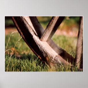 They Stopped Here Poster