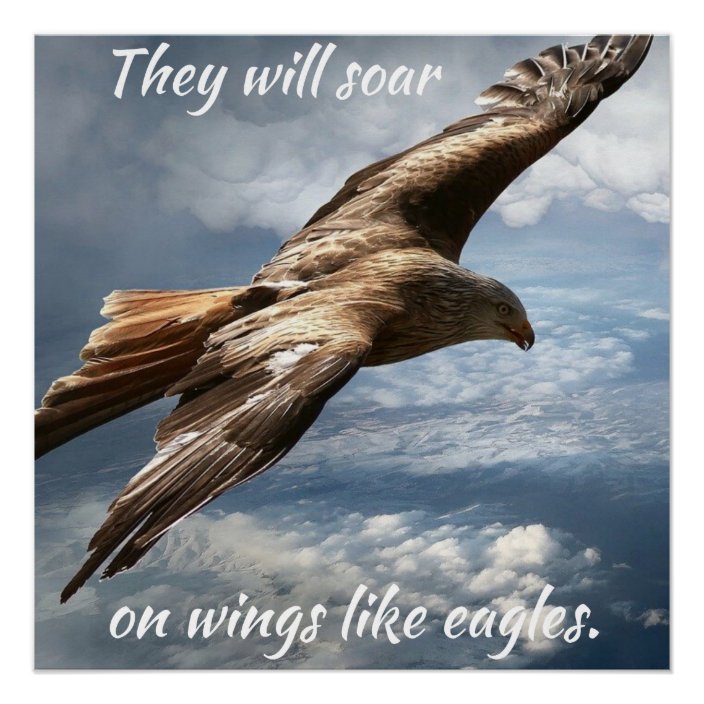 They Will Soar on Wings Like Eagles Motivational Poster Zazzle.ca