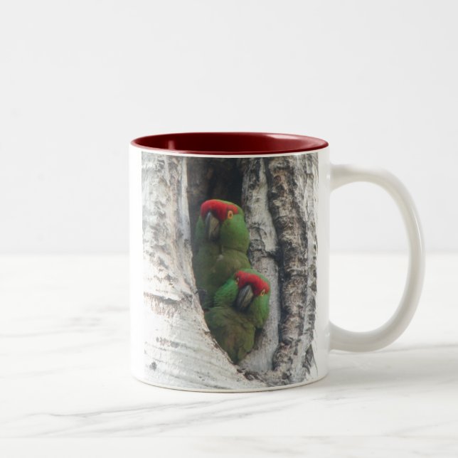 Thick-billed Parrot Mug, right-handled Two-Tone Coffee Mug (Right)