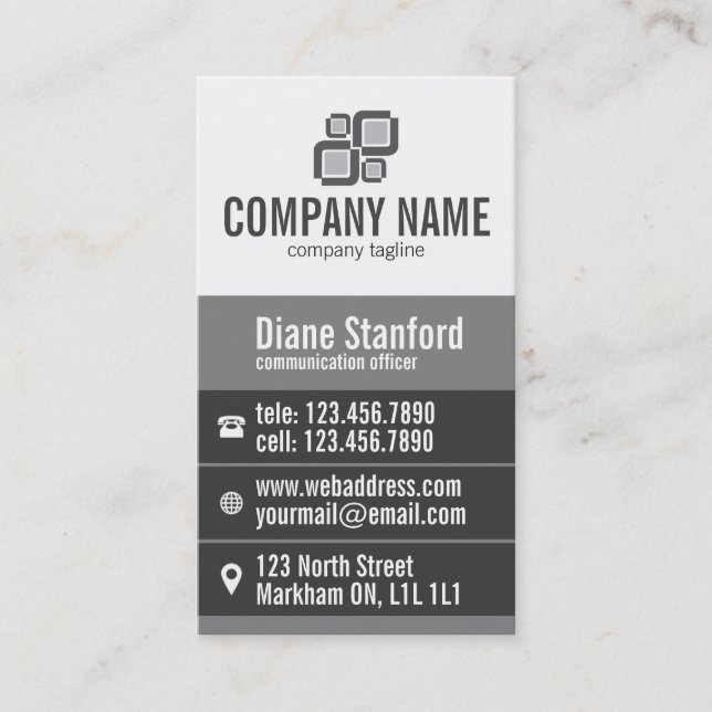 Thick Stripe Professional - Grey Business Card (Front)