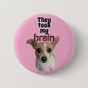 Thievery button