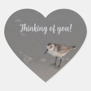 Thiinking of you Sticker