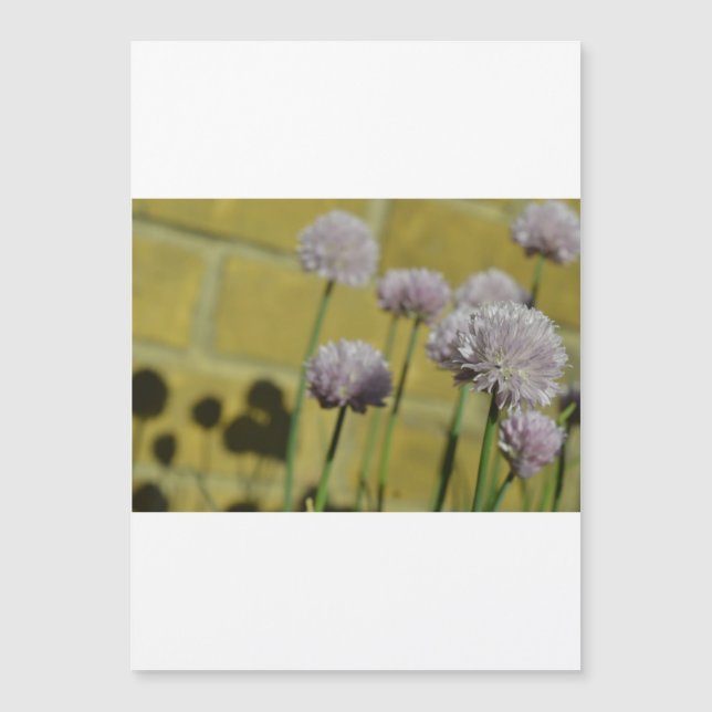 Thin Magnetic card (Front)