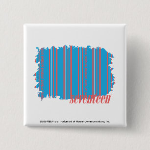 Thin Stripes Aqua 4 2 Inch Square Button