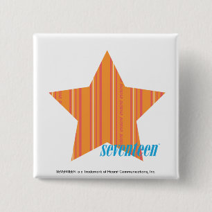 Thin Stripes Orange 4 2 Inch Square Button