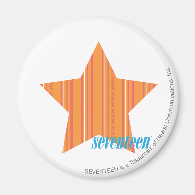 Thin Stripes Orange 4 Magnet (Front)