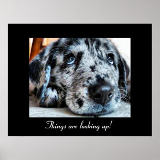 Things are looking up! poster