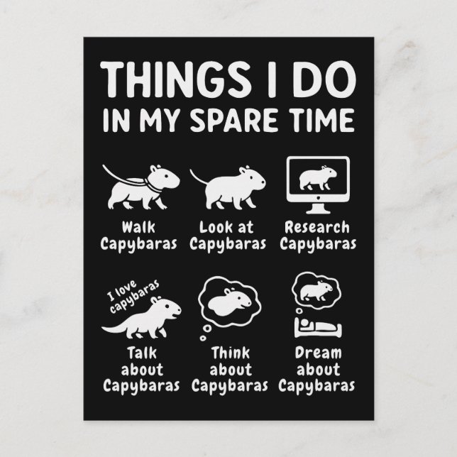 Things I Do In My Spare Time Capybara Funny Holiday Postcard (Front)