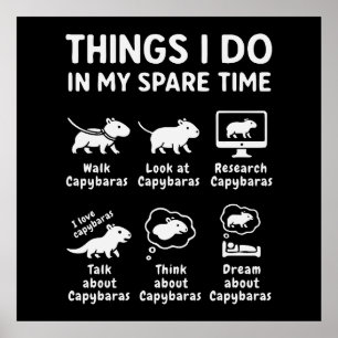 Things I Do In My Spare Time Capybara Funny Poster