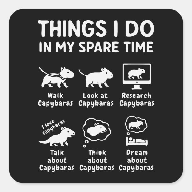 Things I Do In My Spare Time Capybara Funny Square Sticker (Front)