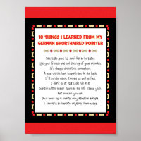 Things Learned From My German Shorthaired Pointer