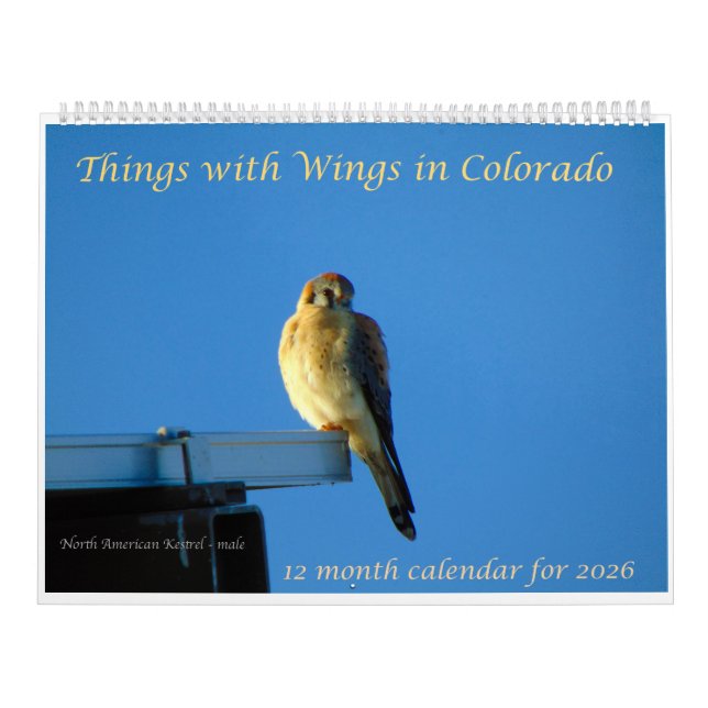 Things with Wings: A Wildlife Photography Calendar (Cover)