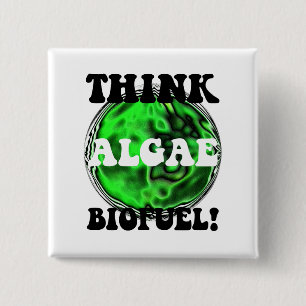 Think algae biofuel! 2 inch square button