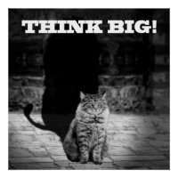 "Think Big" Cat Shadow Poster 20" x 20"