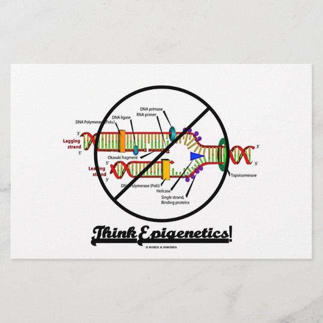 Think Epigenetics! (Cross Out DNA Replication) (Front)