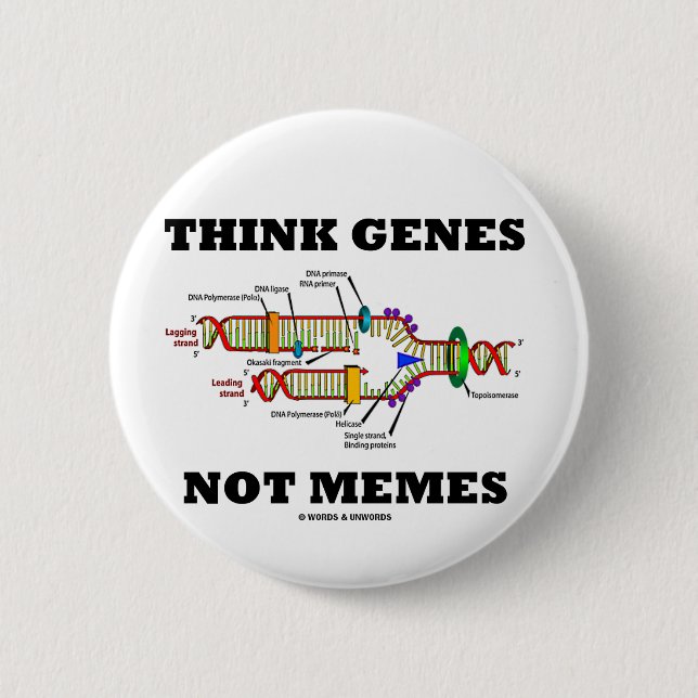 Think Genes Not Memes (DNA Replication) 2 Inch Round Button (Front)
