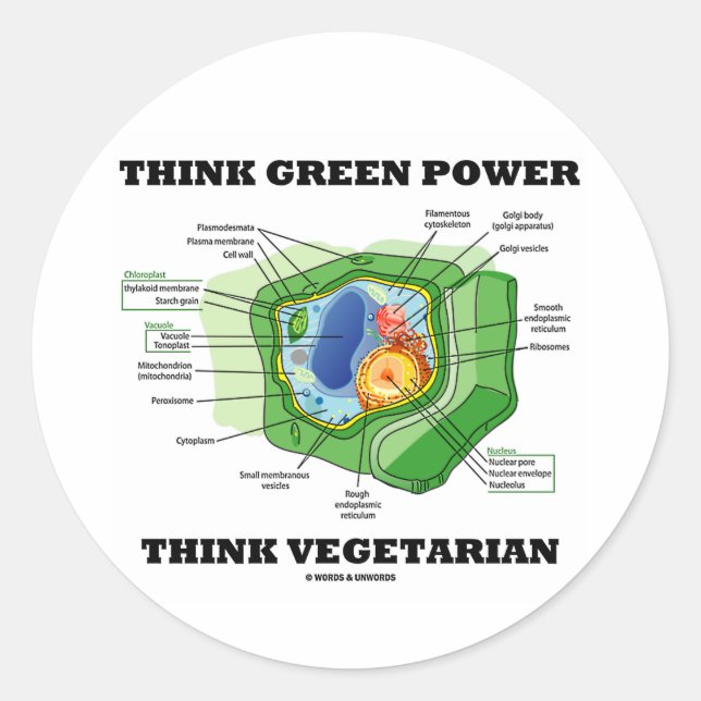 Think Green Power Think Vegetarian (Plant Cell) Classic Round Sticker (Front)