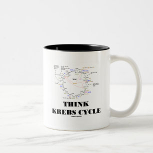 Think Krebs Cycle (Citric Acid Cycle - TCAC) Two-Tone Coffee Mug