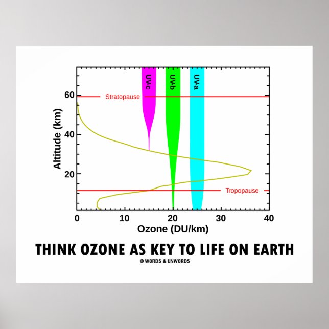 Think Ozone As Key To Life On Earth (Graph) Poster (Front)