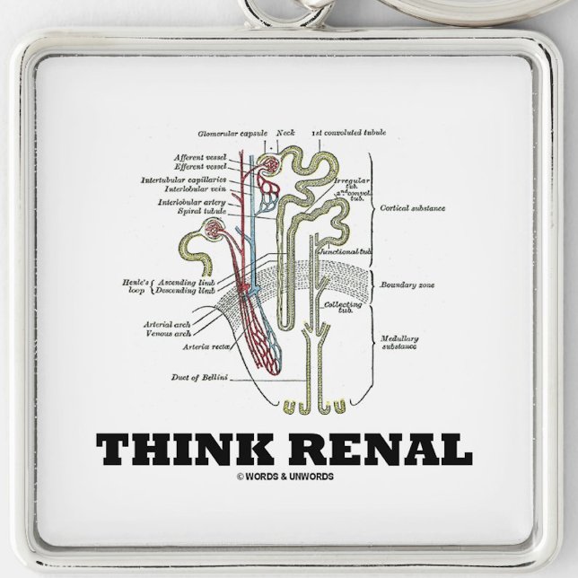 Think Renal (Kidney Nephron) Keychain (Nephrological attitude keychain featuring a kidney's nephron with this advice "Think Renal")