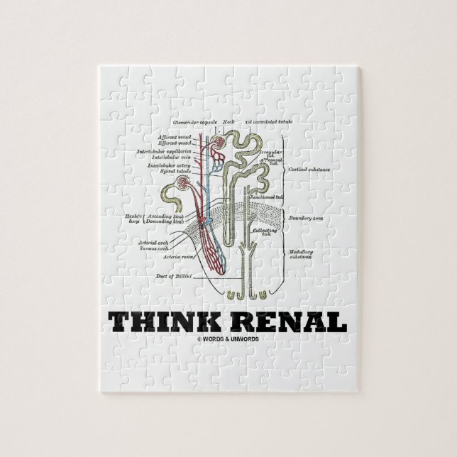 Think Renal (Nephron Anatomy Illustration) Jigsaw Puzzle (Vertical)