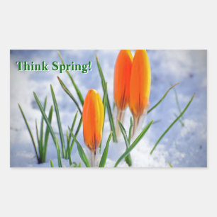Think Spring! Crocus Flower Pushing Thru Snow Sticker