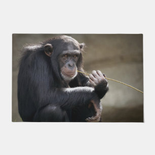 Thinking About Monkeying Around Doormat