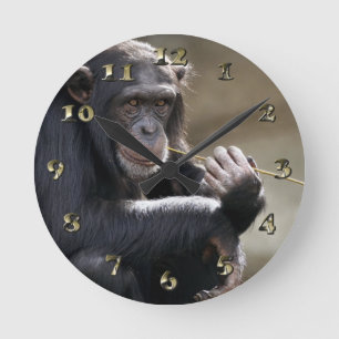 Thinking About Monkeying Around Round Clock
