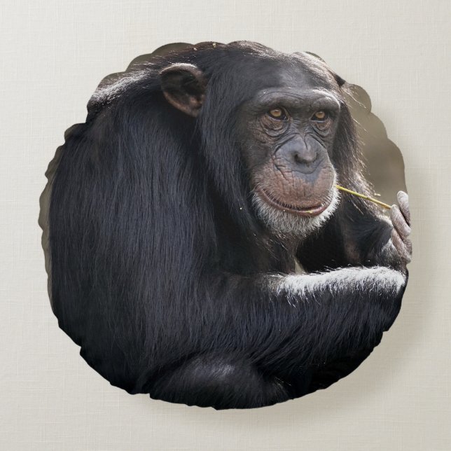 Thinking About Monkeying Around Round Pillow (Front)
