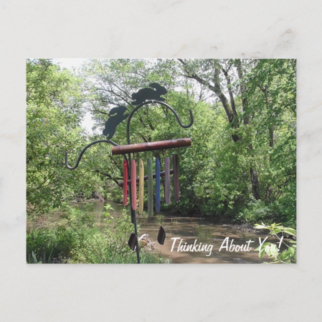 Thinking About You River Flowers Just Saying Hi Postcard (Front)