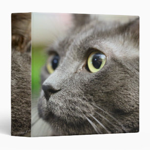 Thinking Binder