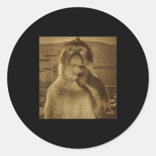 Thinking Monkey Meme Vintage Retro  Classic Round Sticker
