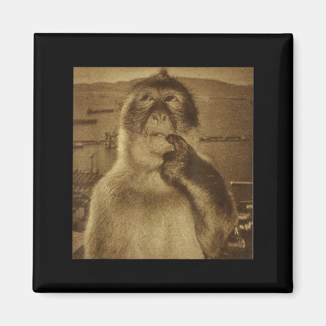 Thinking Monkey Meme Vintage Retro  Magnet (Front)