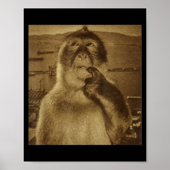 Thinking Monkey Meme Vintage Retro  Poster (Front)